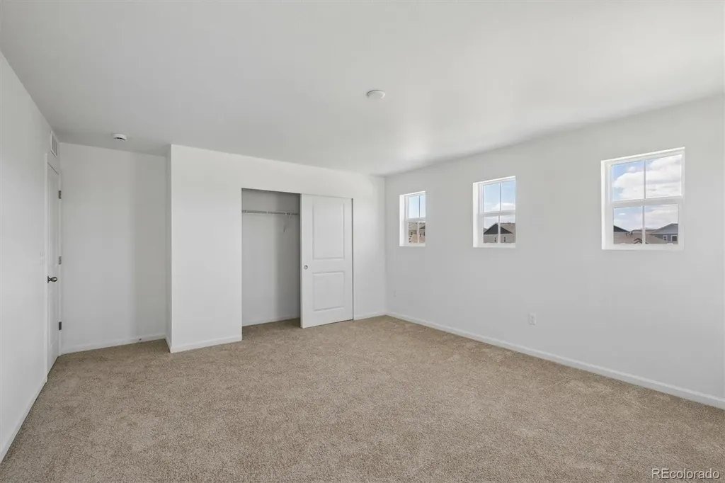 6413 Ankina Drive Windsor CO 80528
