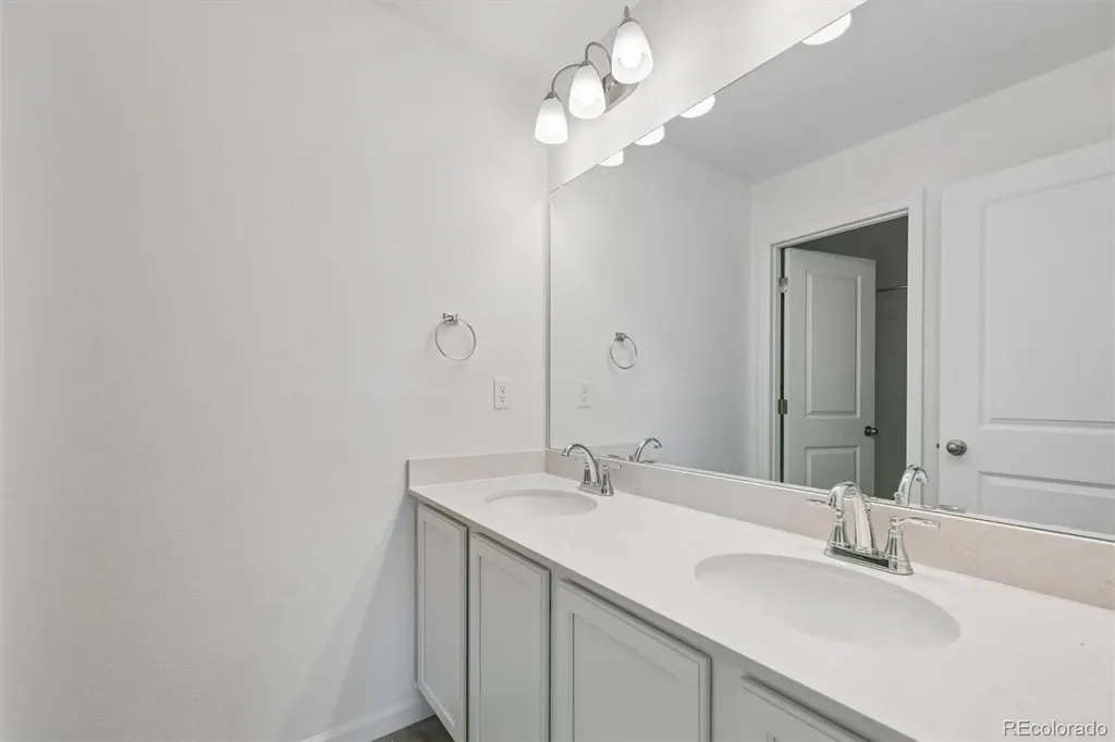 6413 Ankina Drive Windsor CO 80528