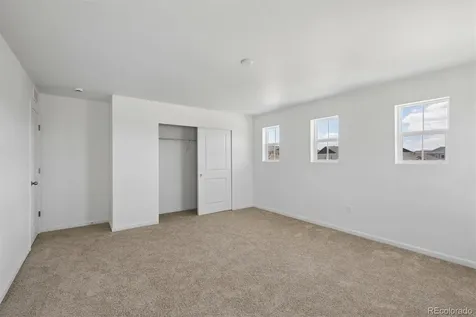 6413 Ankina Drive Windsor CO 80528
