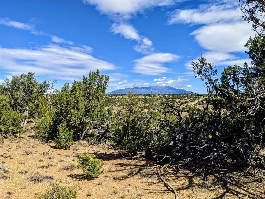 623 Cello Azui Drive Walsenburg CO 81089