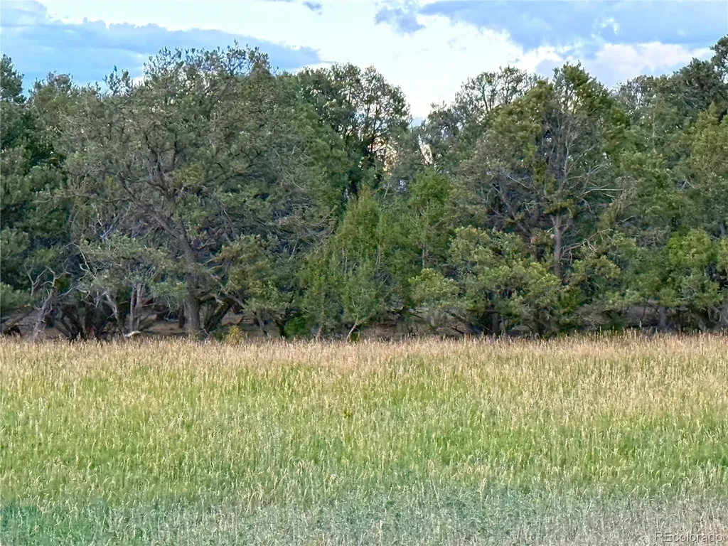34706 Fruitland Mesa Road Crawford CO 81415