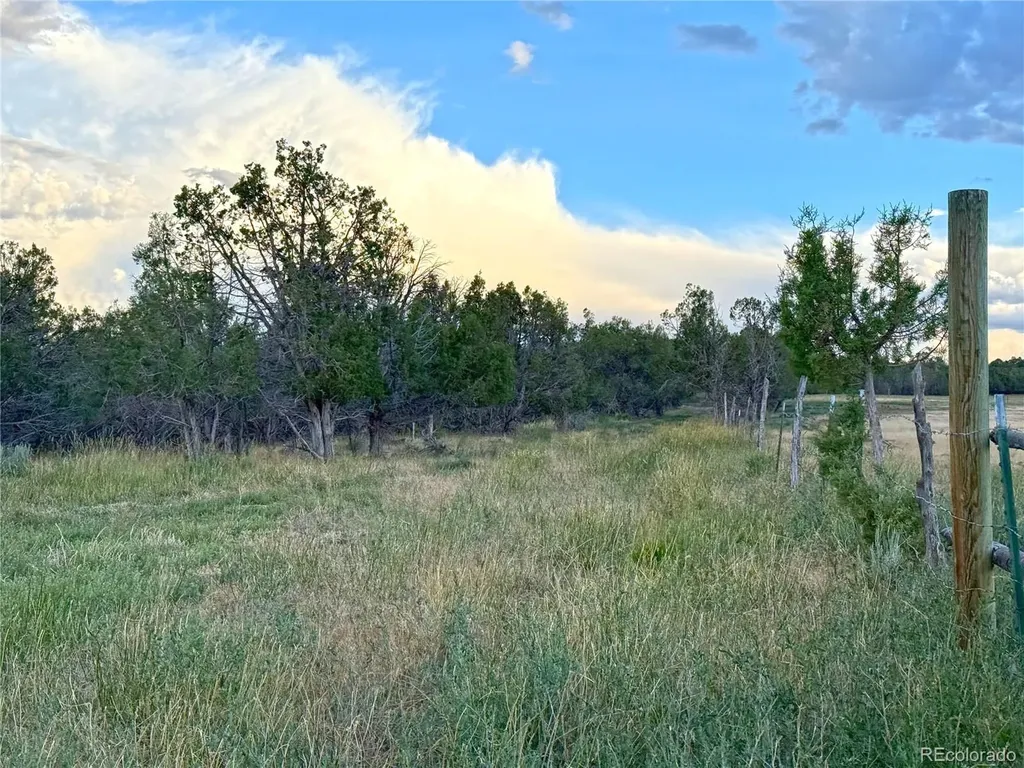 34706 Fruitland Mesa Road Crawford CO 81415