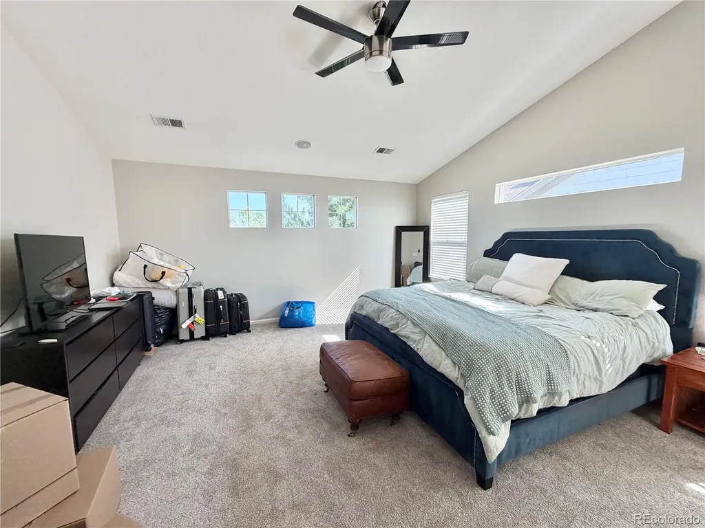 1698 Peridot Lane Castle Rock CO 80108