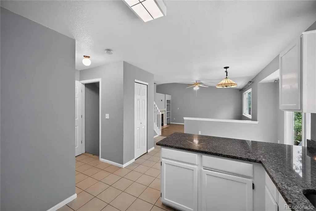 10452 Hyacinth Street Littleton CO 80129