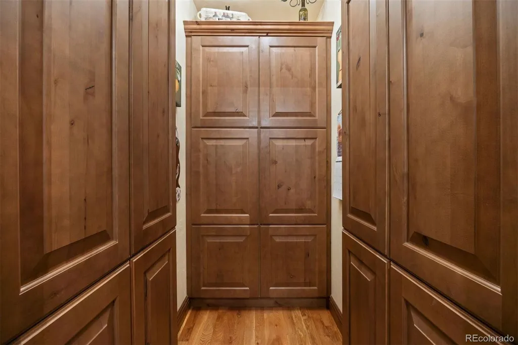 5276 Red Pass Court Castle Rock CO 80108