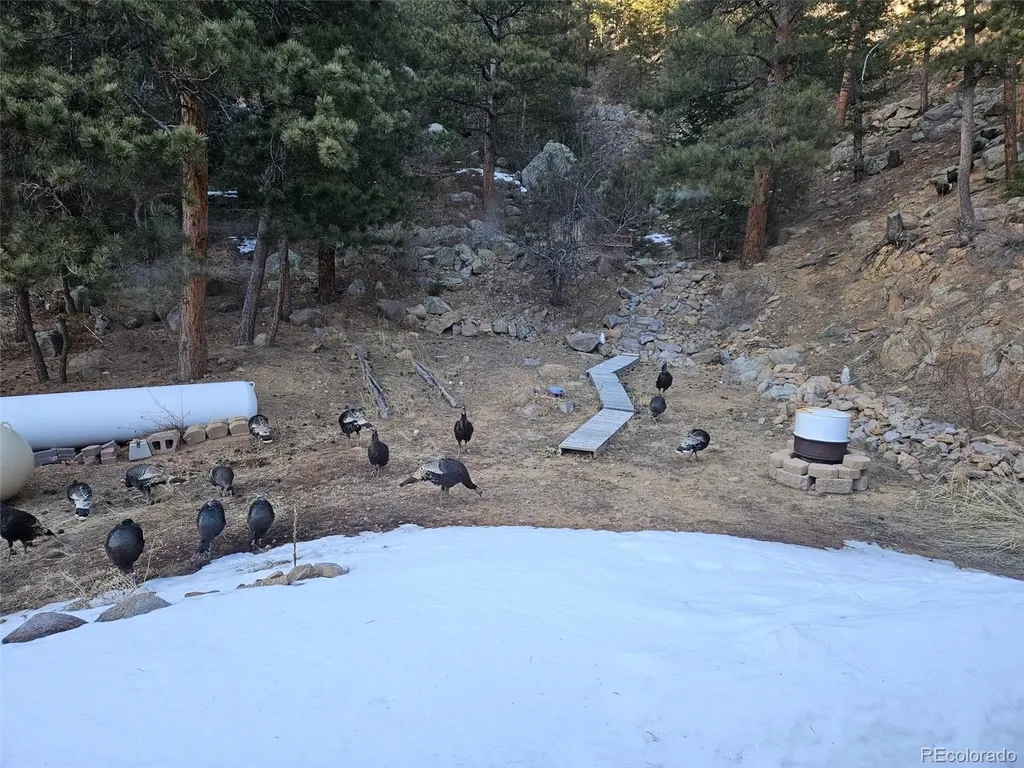 21005 State Highway 7 Lyons CO 80540
