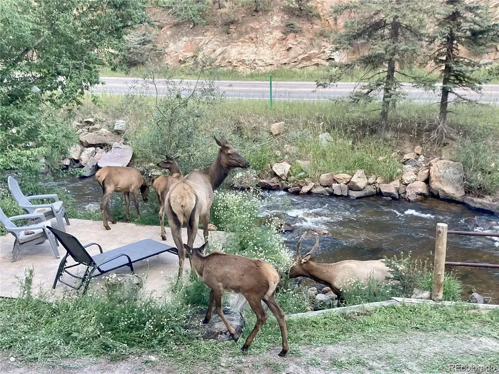 27154 Highway 74 Evergreen CO 80439