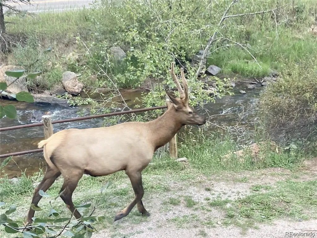 27154 Highway 74 Evergreen CO 80439
