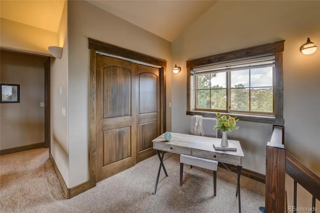 30177 Princeton Hills Buena Vista CO 81211