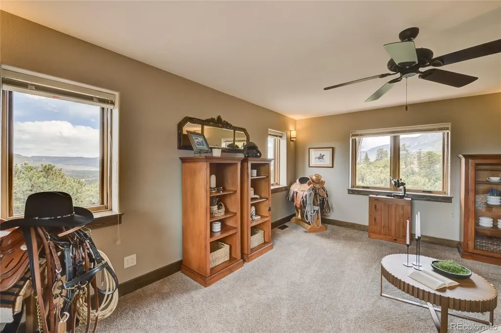 30177 Princeton Hills Buena Vista CO 81211