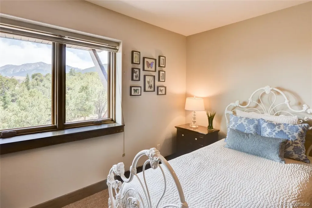30177 Princeton Hills Buena Vista CO 81211