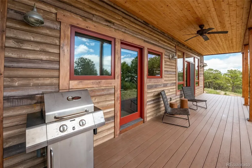30177 Princeton Hills Buena Vista CO 81211