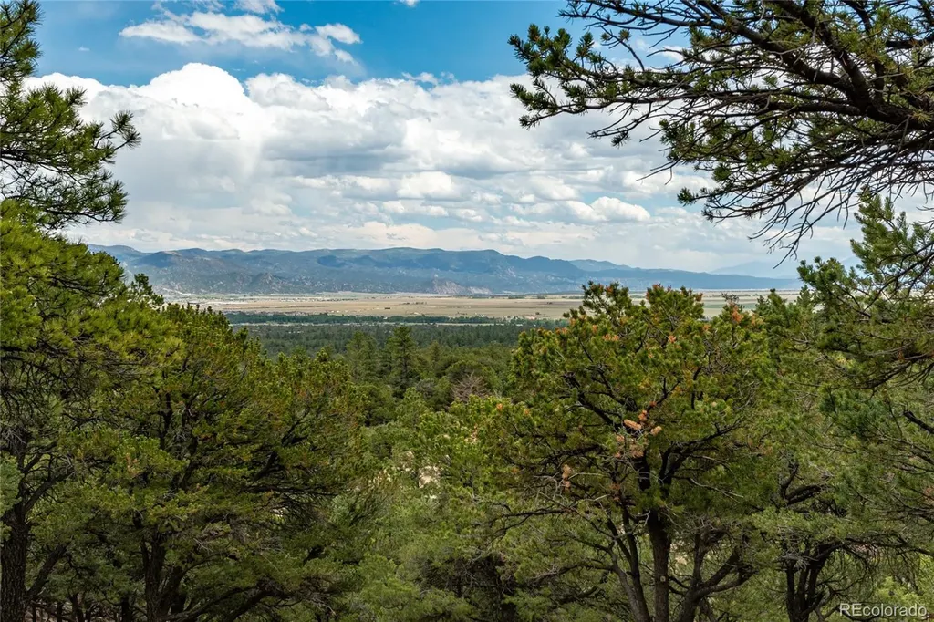 30177 Princeton Hills Buena Vista CO 81211