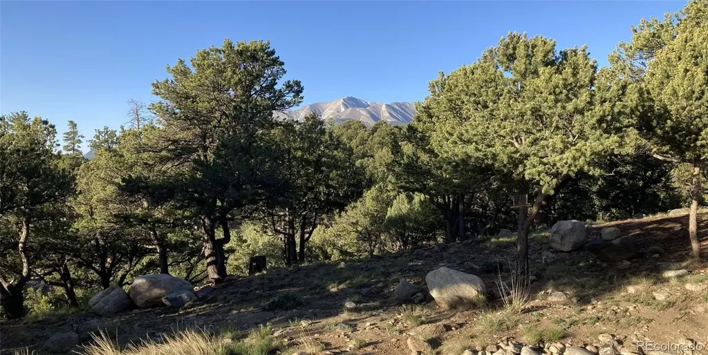 30177 Princeton Hills Buena Vista CO 81211