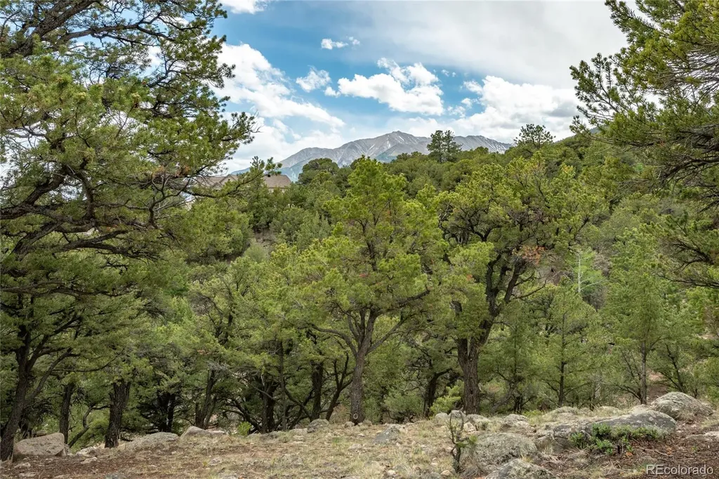 30177 Princeton Hills Buena Vista CO 81211