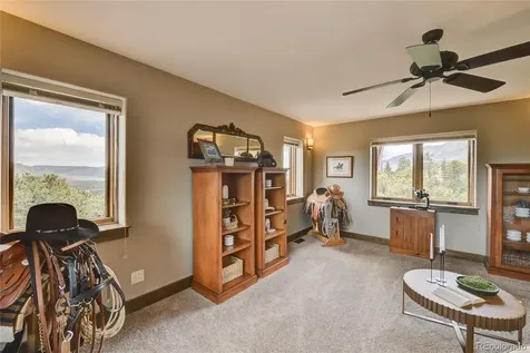 30177 Princeton Hills Buena Vista CO 81211