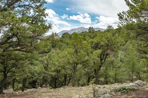 30177 Princeton Hills Buena Vista CO 81211