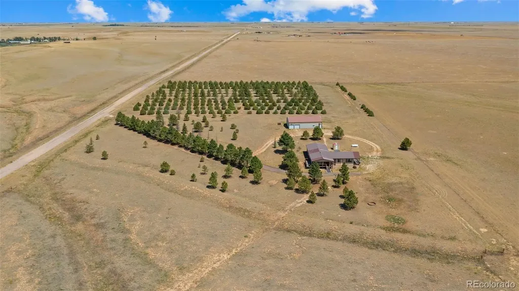 20402 County Road 2 Rush CO 80833