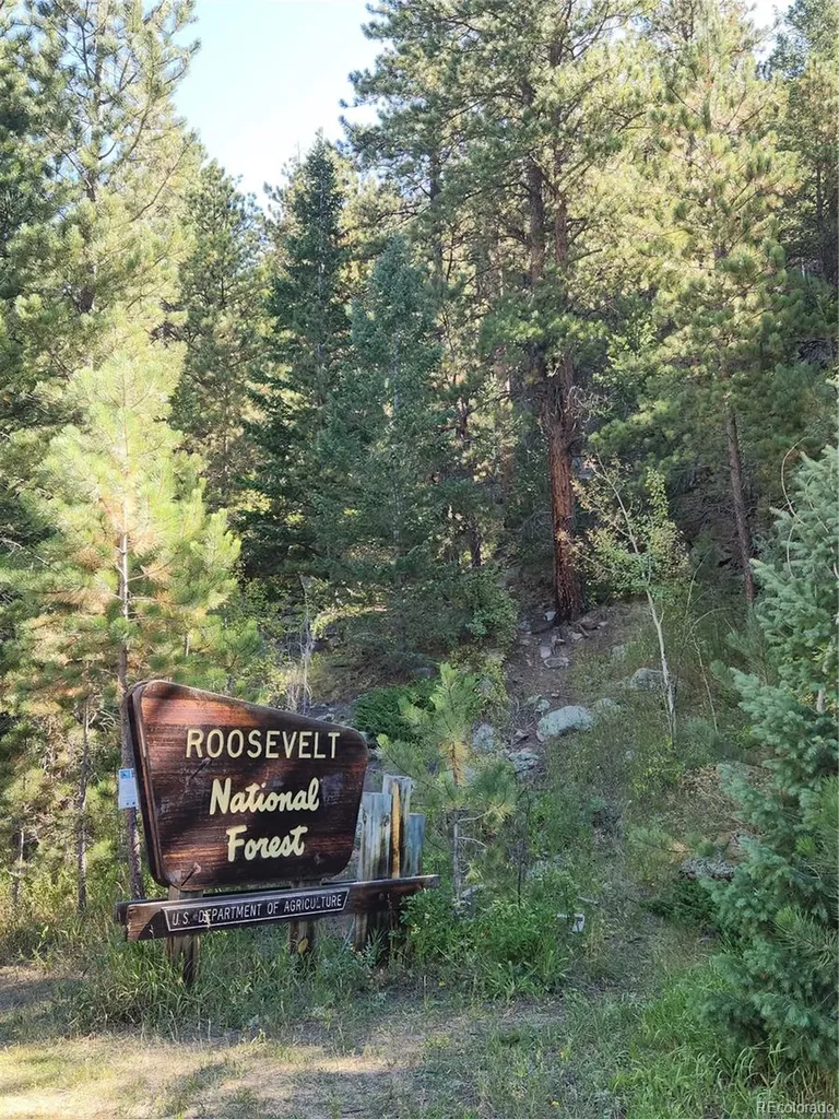 148 Big Pine Lane Drake CO 80515