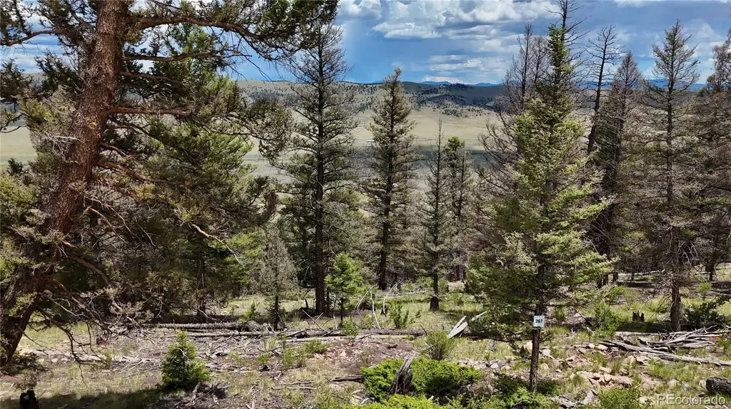 1396 Middle Fork Vista Fairplay CO 80440
