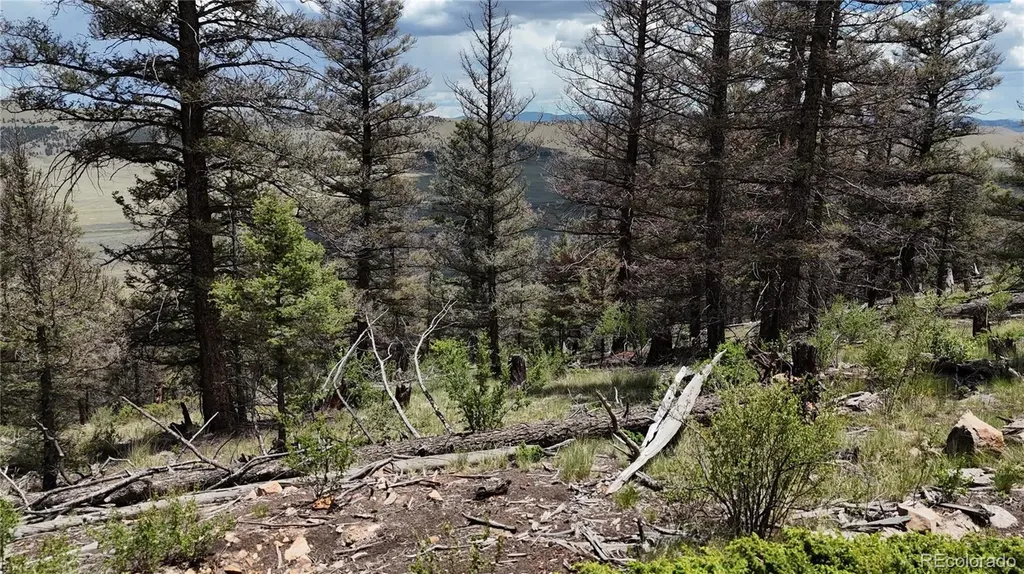1396 Middle Fork Vista Fairplay CO 80440
