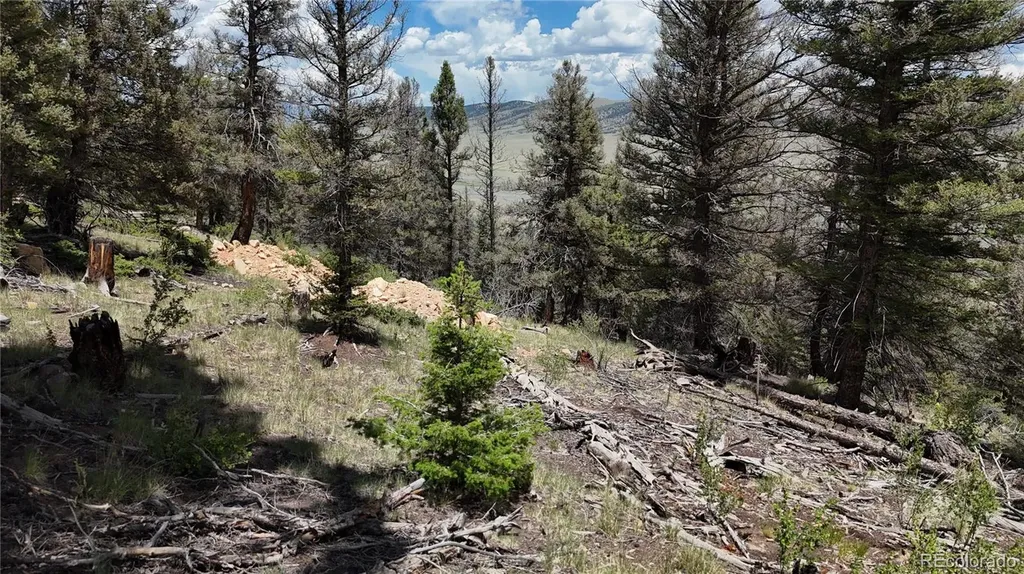 1396 Middle Fork Vista Fairplay CO 80440