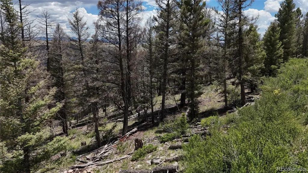 1396 Middle Fork Vista Fairplay CO 80440