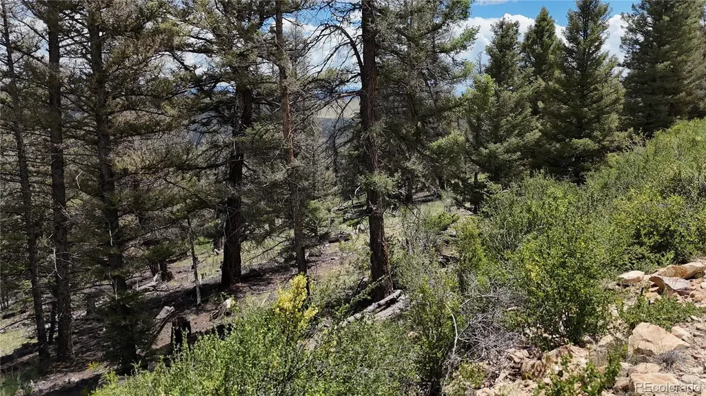 1396 Middle Fork Vista Fairplay CO 80440