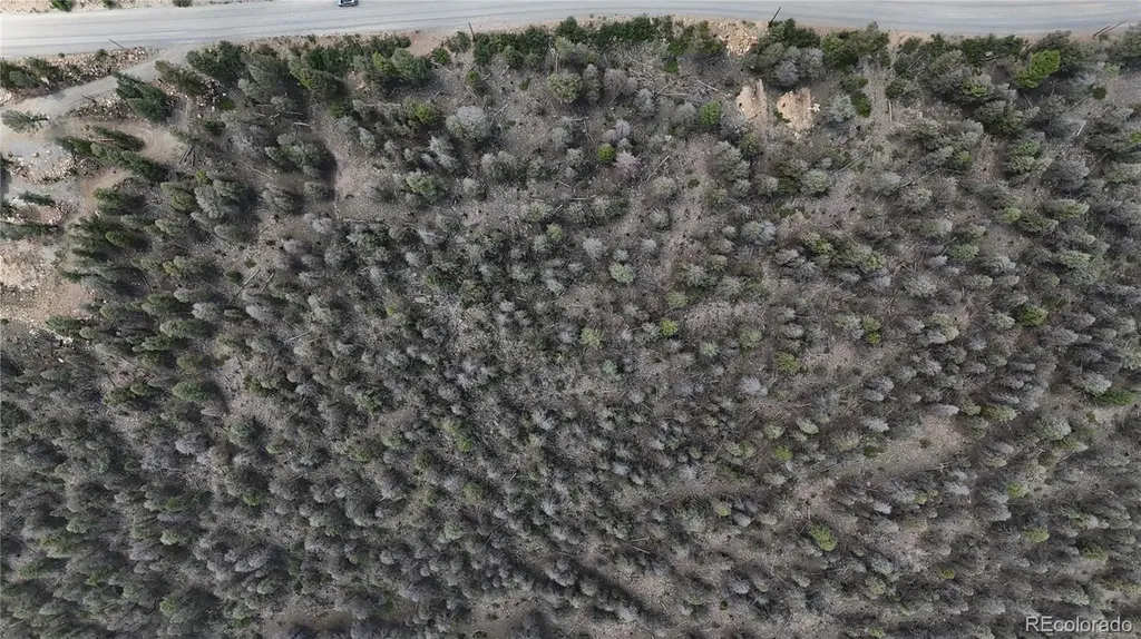 1396 Middle Fork Vista Fairplay CO 80440