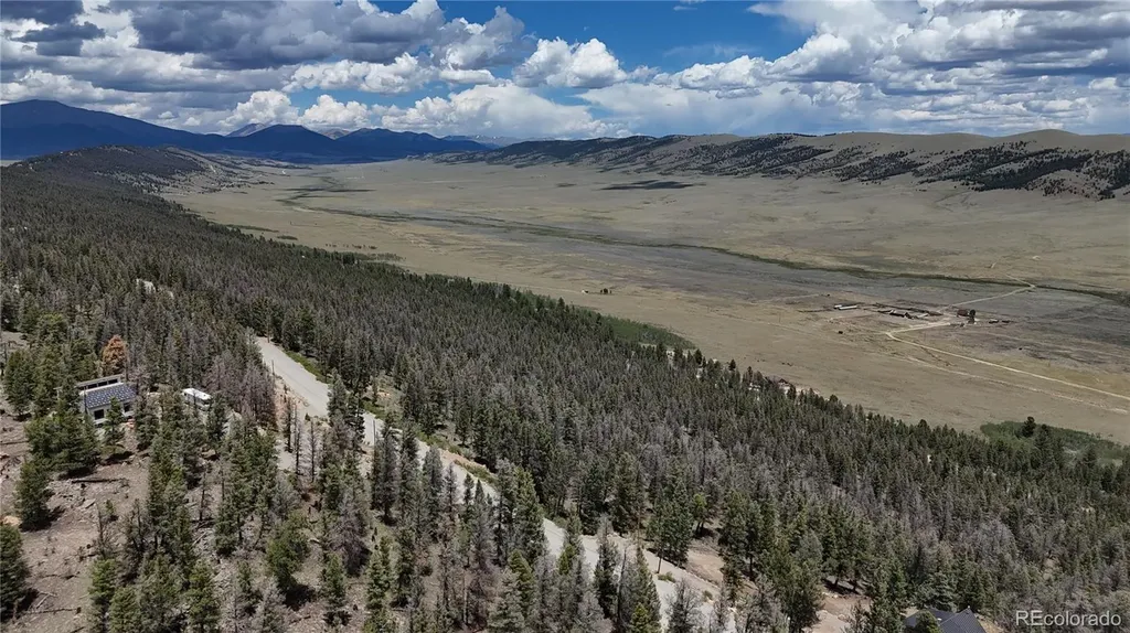 1396 Middle Fork Vista Fairplay CO 80440