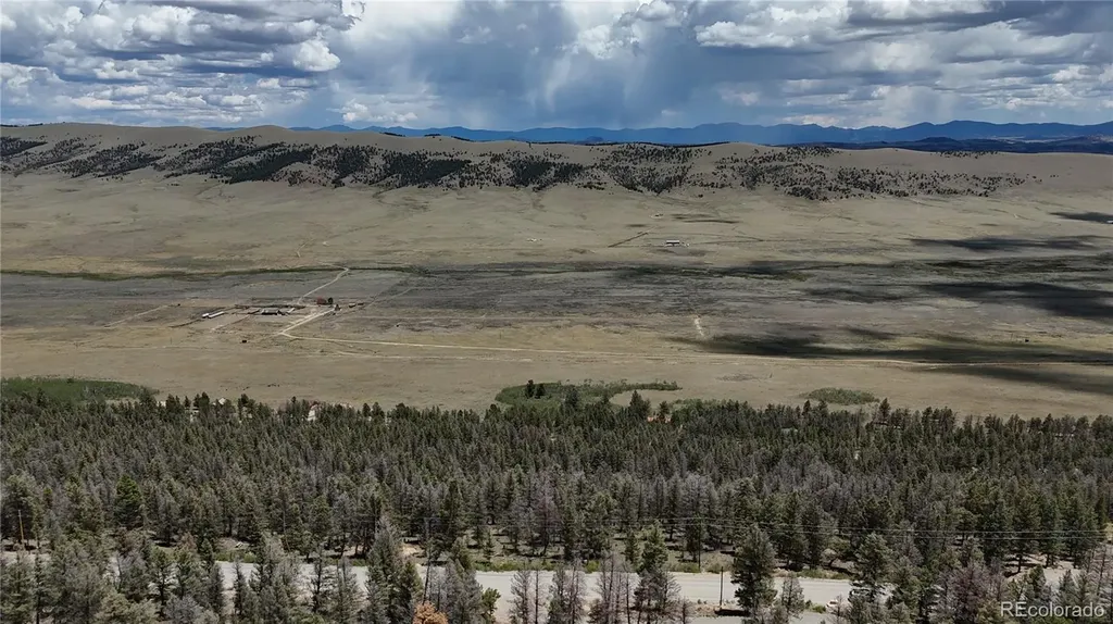 1396 Middle Fork Vista Fairplay CO 80440
