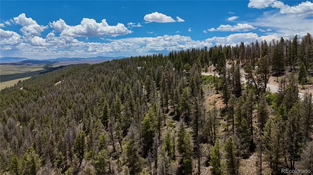1396 Middle Fork Vista Fairplay CO 80440