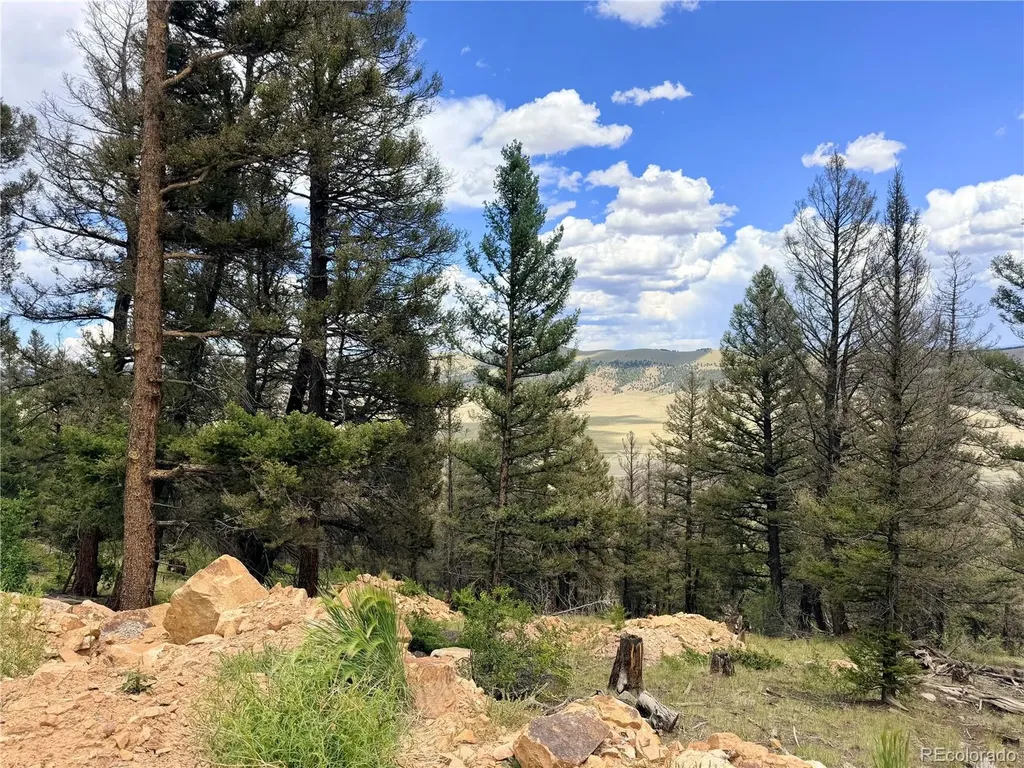 1396 Middle Fork Vista Fairplay CO 80440