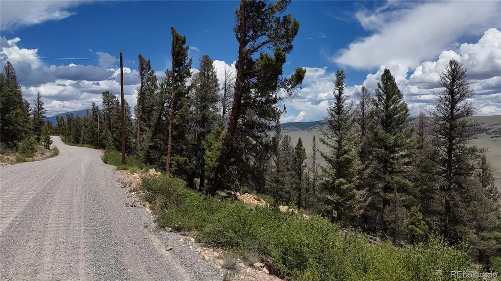 1396 Middle Fork Vista Fairplay CO 80440