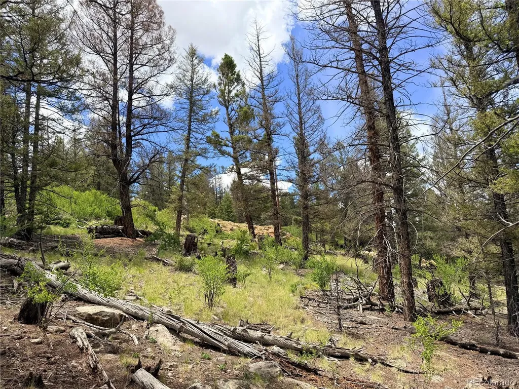 1396 Middle Fork Vista Fairplay CO 80440