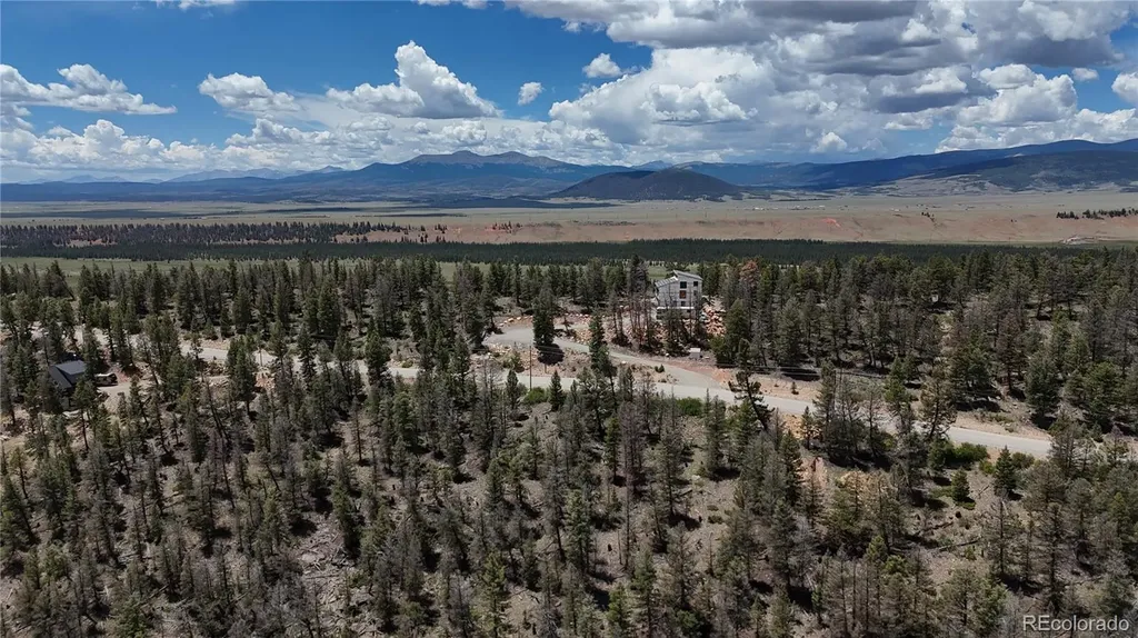 1396 Middle Fork Vista Fairplay CO 80440