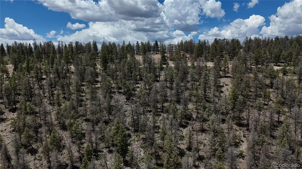 1396 Middle Fork Vista Fairplay CO 80440