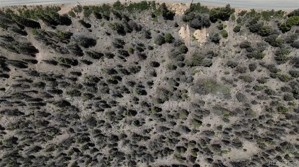 1396 Middle Fork Vista Fairplay CO 80440