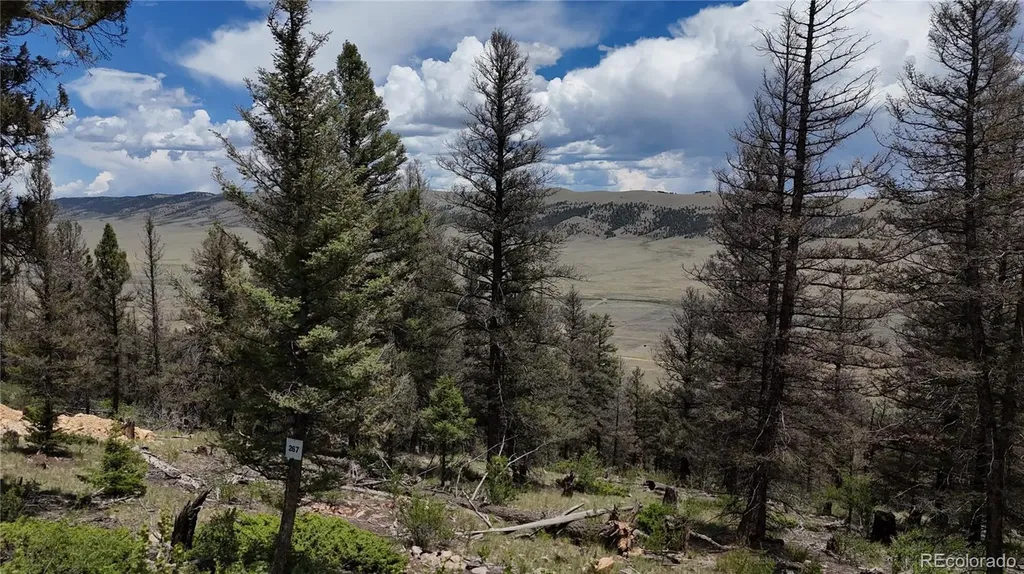 1396 Middle Fork Vista Fairplay CO 80440