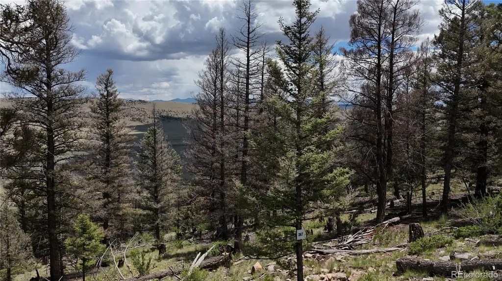 1396 Middle Fork Vista Fairplay CO 80440