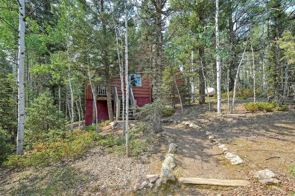 114 Mt Powderhorn Lane Florissant CO 80816