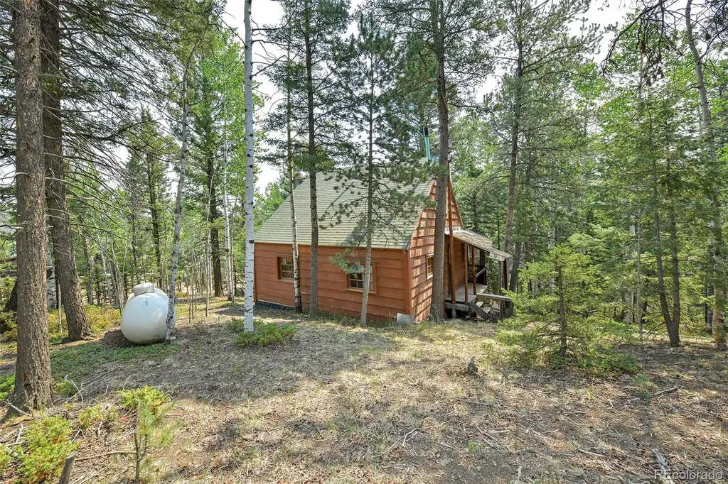 114 Mt Powderhorn Lane Florissant CO 80816