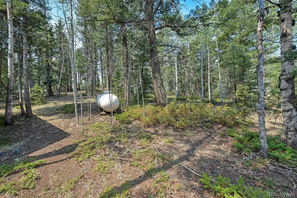 114 Mt Powderhorn Lane Florissant CO 80816