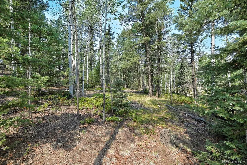 114 Mt Powderhorn Lane Florissant CO 80816