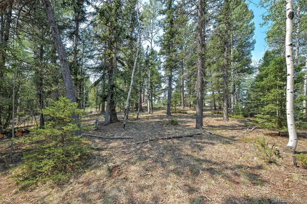 114 Mt Powderhorn Lane Florissant CO 80816