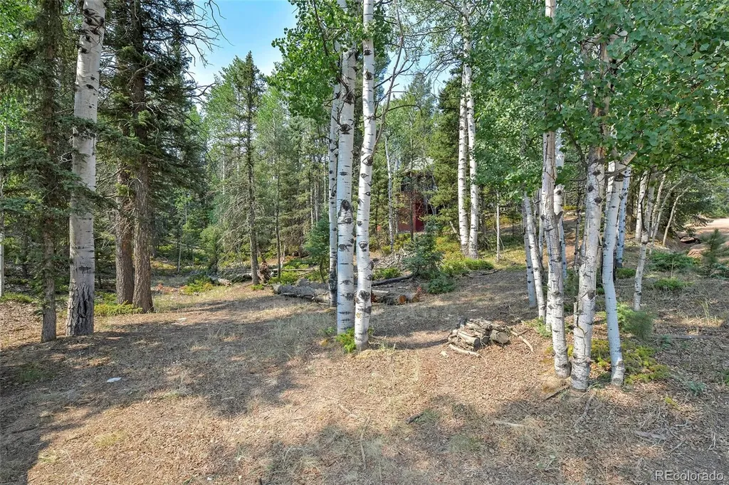 114 Mt Powderhorn Lane Florissant CO 80816