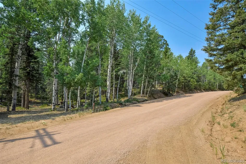 114 Mt Powderhorn Lane Florissant CO 80816