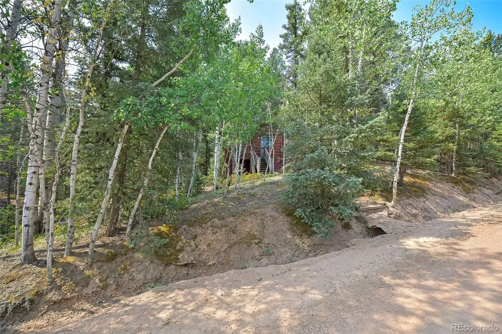 114 Mt Powderhorn Lane Florissant CO 80816