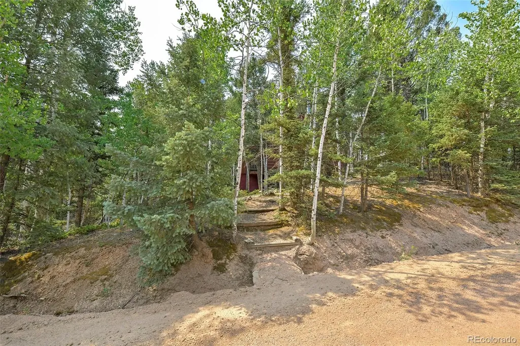 114 Mt Powderhorn Lane Florissant CO 80816