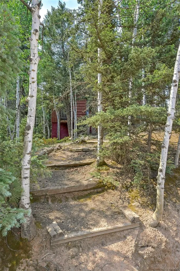 114 Mt Powderhorn Lane Florissant CO 80816